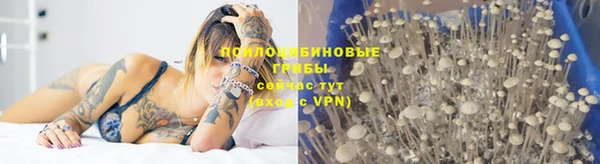 стаф Балабаново