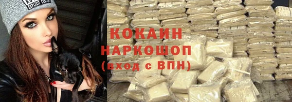 spice Аркадак